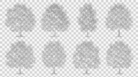 Assorted broadleaf tree sketches isolated on transparent background Stock Illustration
