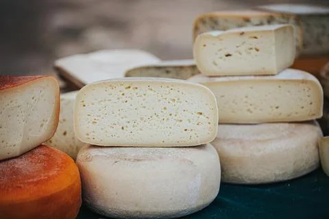 Assorted cheese varieties displayed on a table, featuring round and rectang.. Fotos de archivo