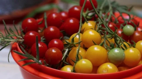 Assorted Cherry Tomatoes with Fresh Rosemary in Orange Bowl Stock Footage 298163289