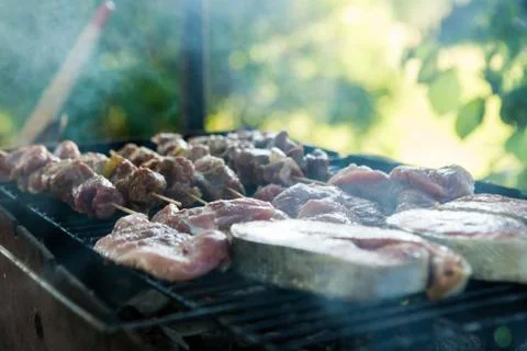 Assorted chicken and pork meat and a variety of grilled vegetables for a 库存照片
