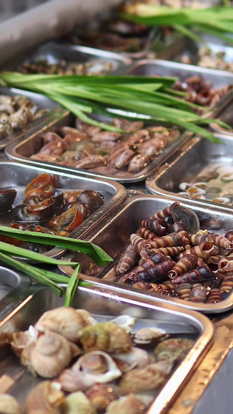 Assorted Chilled Shellfish and Sea Snails Displayed at Seafood Counter Stock Footage 337735858