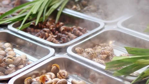 Assorted Chilled Shellfish and Sea Snails Displayed at Seafood Counter Stock Footage 337735887