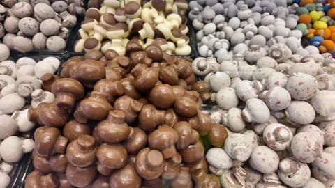 Assorted Chocolate and Candy Confectionery Display: Colorful Coated Sweets and Stock Footage 339831104