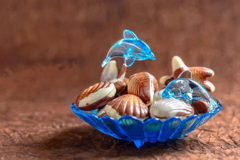 Assorted chocolates in a nautical theme. Stock Photos
