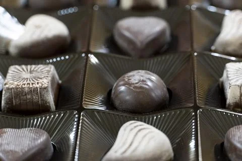 Assorted Chocolates in a Tray Stock Photos