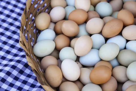 Assorted colored eggs in traditional basket Foto stock