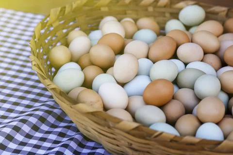 Assorted colored eggs in traditional basket Stock Photos