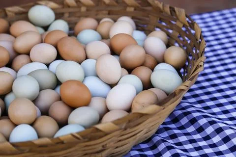 Assorted colored eggs in traditional basket Stock-Fotos