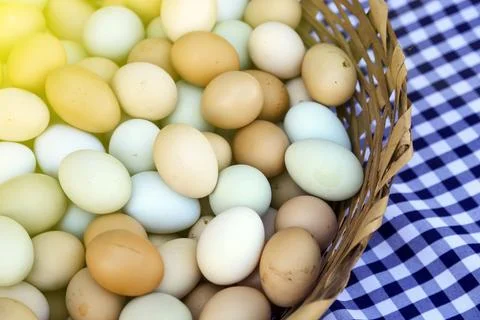 Assorted colored eggs in traditional basket Stock Photos