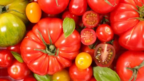 Assorted colorful tomatoes Stock Photos