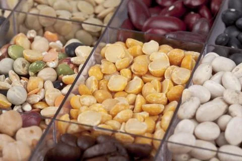 Assorted container beans Stock-Fotos