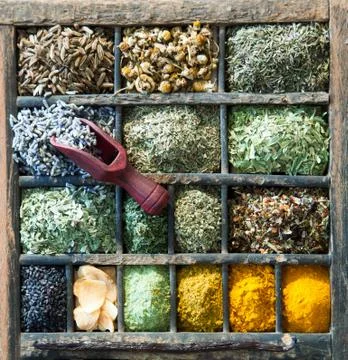 Assorted culinary herbs and spices Stock Photos