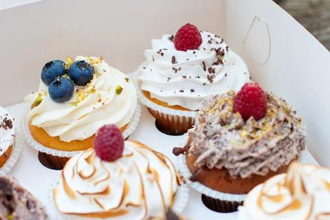 Assorted cupcakes in gift box with chocolate, vanilla and oreo cream, whipped Stock Photos
