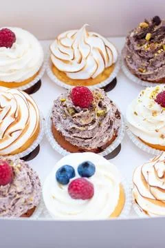 Assorted cupcakes in gift box with chocolate, vanilla and oreo cream, whipped Stock Photos