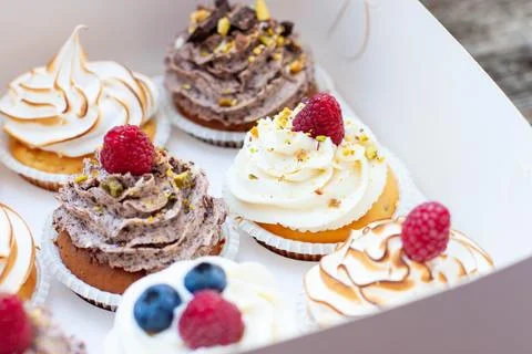 Assorted cupcakes in gift box with chocolate, vanilla and oreo cream, whipped Stock Photos