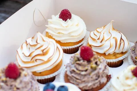 Assorted cupcakes in gift box with chocolate, vanilla and oreo cream, whipped Stock Photos