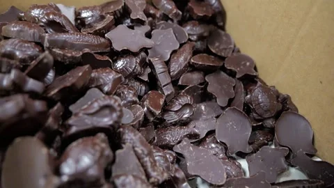 Assorted dark chocolate pieces in box Stock Footage 334564470