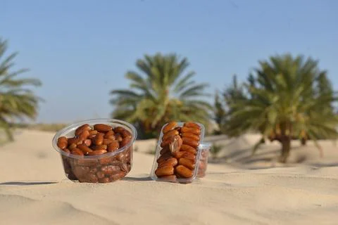 Assorted Date Packaging in Desert Oasis Photos
