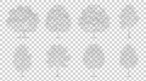 Assorted deciduous and coniferous trees isolated on transparent background Stock Illustration