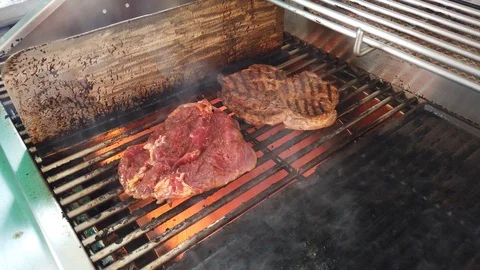 Assorted delicious grilled meat over the picnic flaming grill on a barbecue Stock Footage 111163417