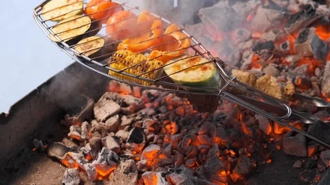 Assorted delicious grilled meat with vegetable over the coals on a barbecue Stock Footage 103101305