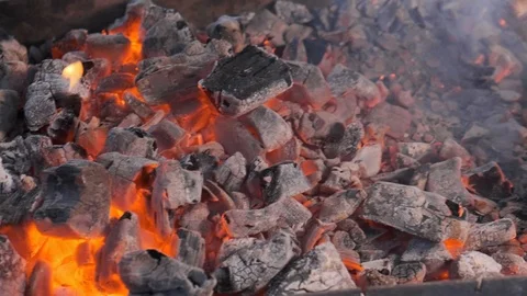 Assorted delicious grilled meat with vegetable over the coals on a barbecue Stock Footage 103101400