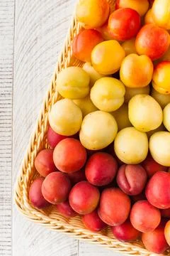 Assorted different types of apricots in a basket. Stone fruits, harvesting. Fotos de archivo