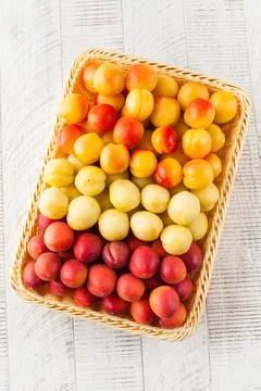 Assorted different types of apricots in a basket. Stone fruits, harvesting. Stock Photos