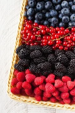 Assorted different types of ripe wild berries in a basket. berries. Foto stock