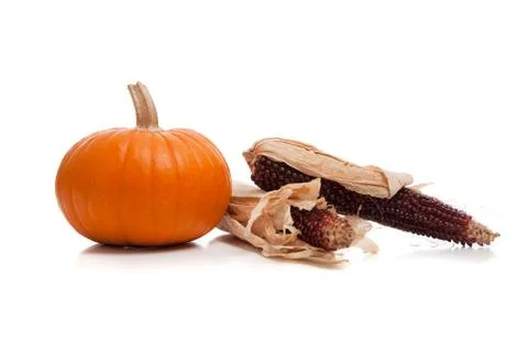 Assorted fall vegetables as a background Stock Photos