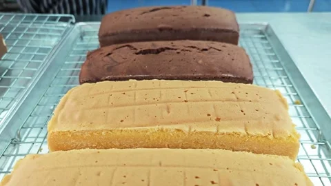 Assorted flavors of freshly baked sponge cakes on a cooling rack. 스톡 동영상 346472287