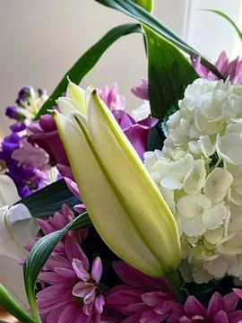 Assorted Flower Bouquet Stock Photos