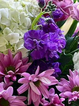Assorted Flower Bouquet Stock Photos