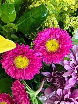 Assorted Flower Bouquet Stock Photos