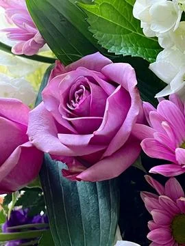 Assorted Flower Bouquet Stock Photos