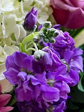 Assorted Flower Bouquet Stock Photos