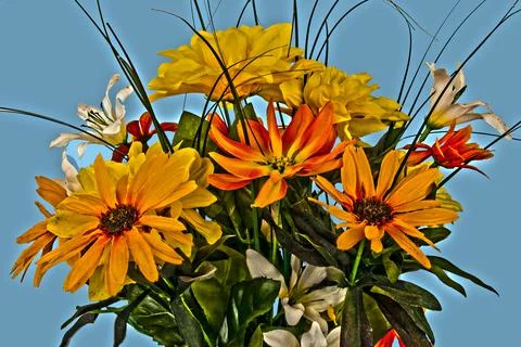 Assorted flowers on a blue back ground Foto stock