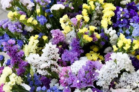 Assorted flowers in various colors including purple, yellow, white, and blue Foto stock
