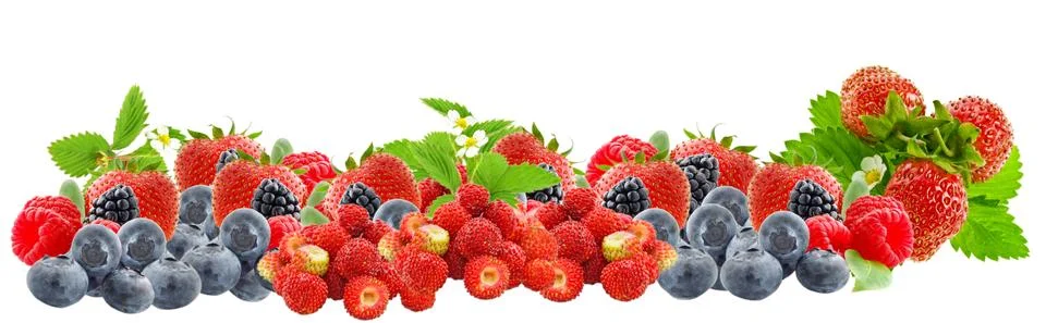 Assorted fresh berries 写真素材
