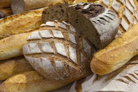 Assorted fresh bread varieties displayed artfully on a neutral background, .. Stock Photos