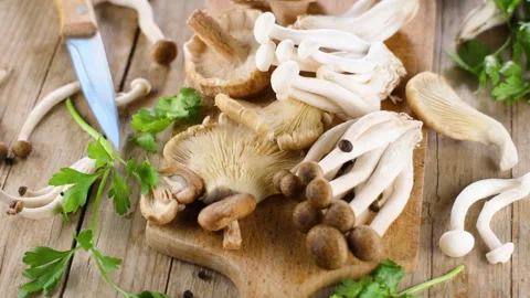 Assorted of fresh different sort of edible mushroom Stock Footage 289839939
