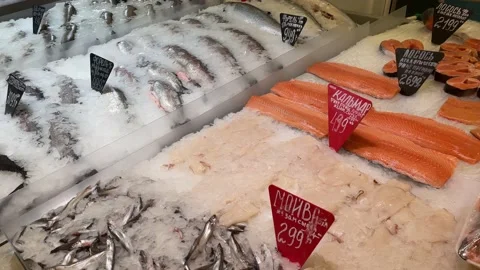 Assorted fresh fish and seafood at local supermarket. Stock-Footage 203598242