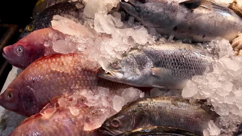 Assorted Fresh Fish on Crushed Ice at Thai Seafood Market in Phuket 4K 스톡 동영상 338003879