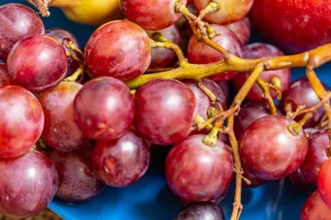 Assorted fresh fruits Stock Photos