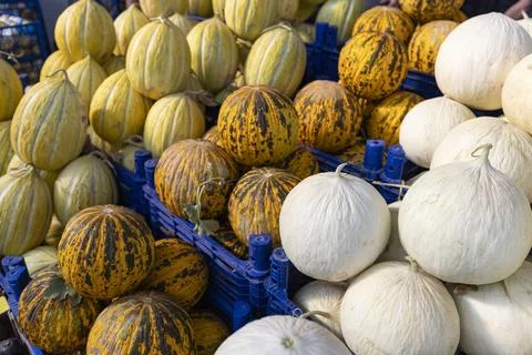 Assorted Fresh Melons in Blue Plastic Crates at a Produce Market Stock-Fotos