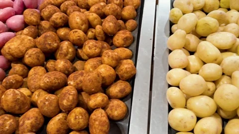 Assorted Fresh Potatoes on Display in Blue Mountains Grocery Store Stock Footage 340179815