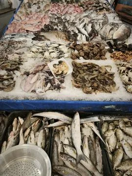 Assorted fresh seafood and fish on ice at a market display, featuring whole f Stock Photos