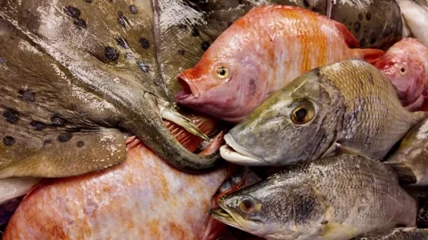 Assorted Fresh Tropical Fish Displayed on Ice at seafood Market Thailand 4K Video stock 338004103