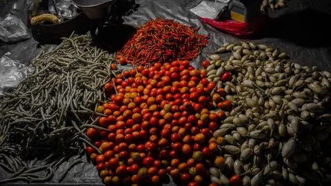 Assorted Fresh Vegetables on Display Stock Photos