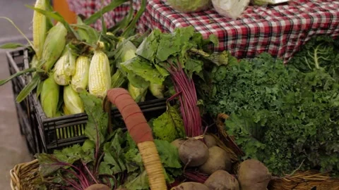 Assorted Fresh Vegetables on Display at Sydney Farmers Market Stall Tables Stock Footage 345705570
